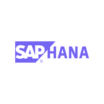 Online kurz SAP S/4 HANA